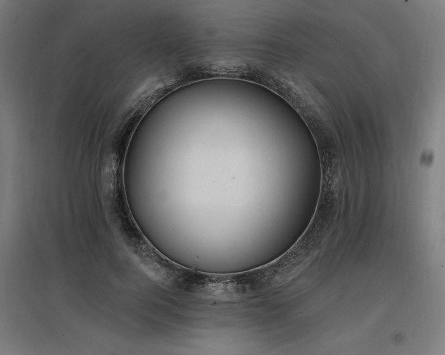 X0000096970744200802151308