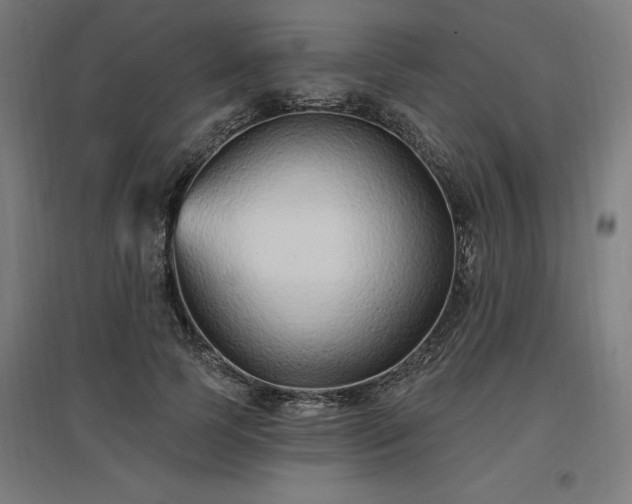 X0000096970745200802151308