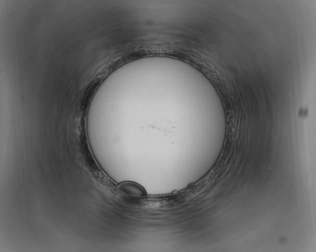 X0000096970746200802151308