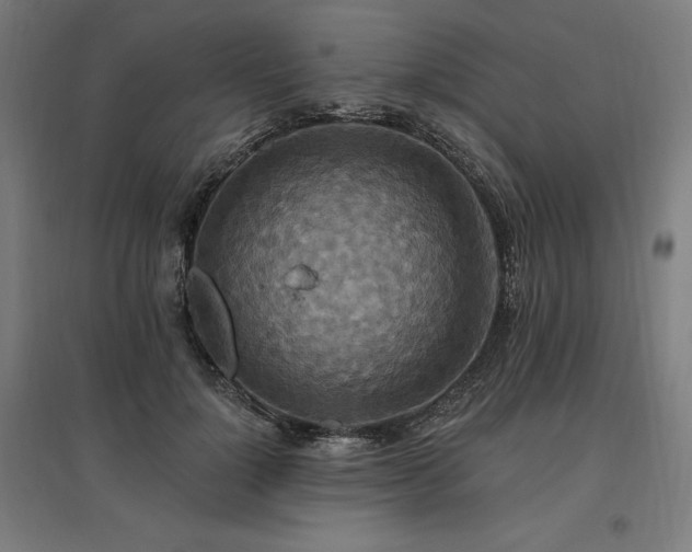 X0000096970748200802151308