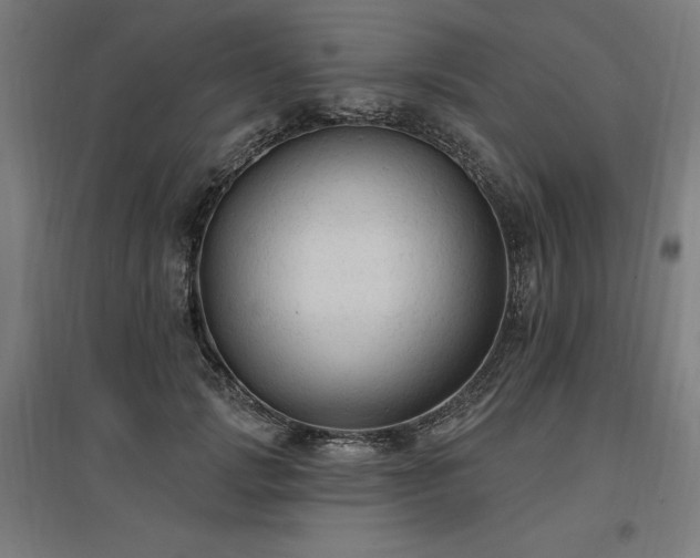X0000096970749200802151308