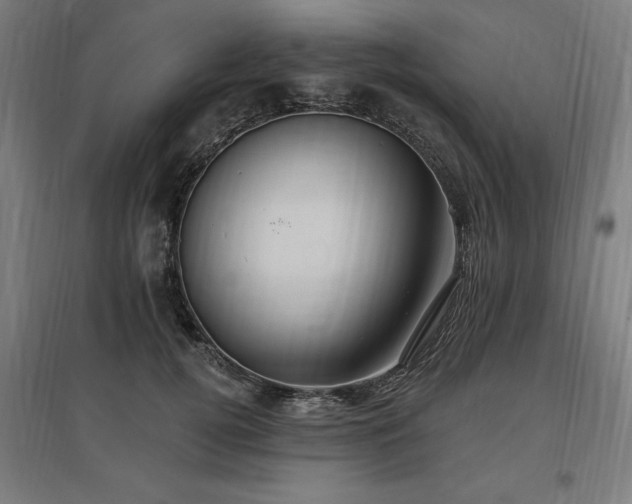 X0000096970752200802151308