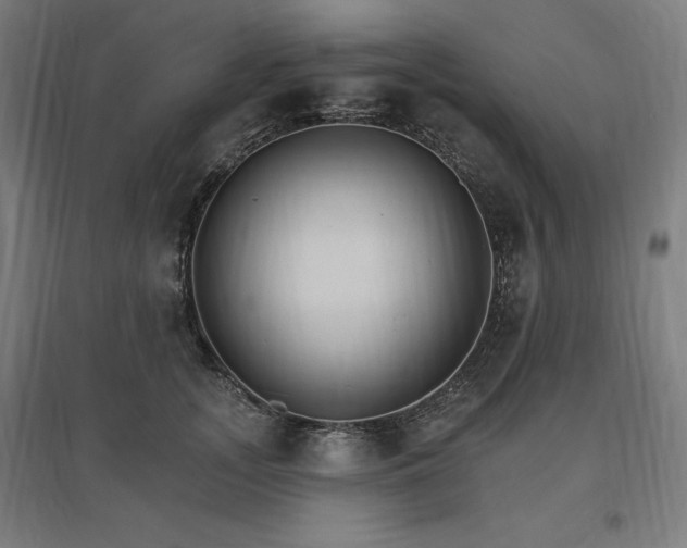 X0000096970755200802151308