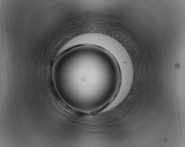 X0000096970756200802151308