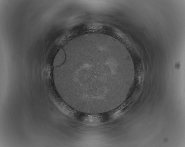 X0000096970758200802151308