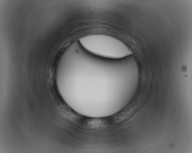 X0000096970759200802151308
