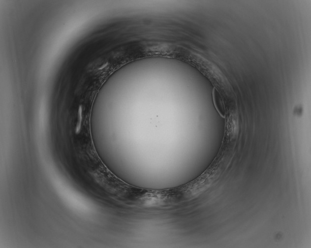 X0000096970764200802151308