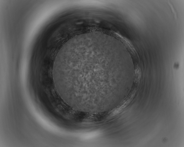 X0000096970765200802151308