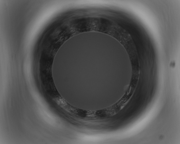 X0000096970766200802151308