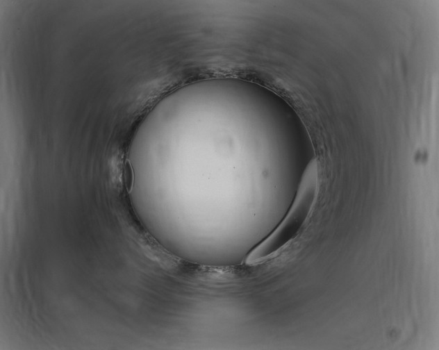 X0000096970768200802151308