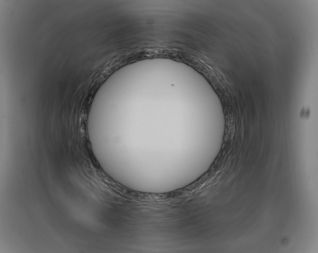 X0000096970770200802151308