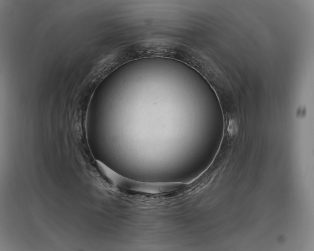 X0000096970771200802151308