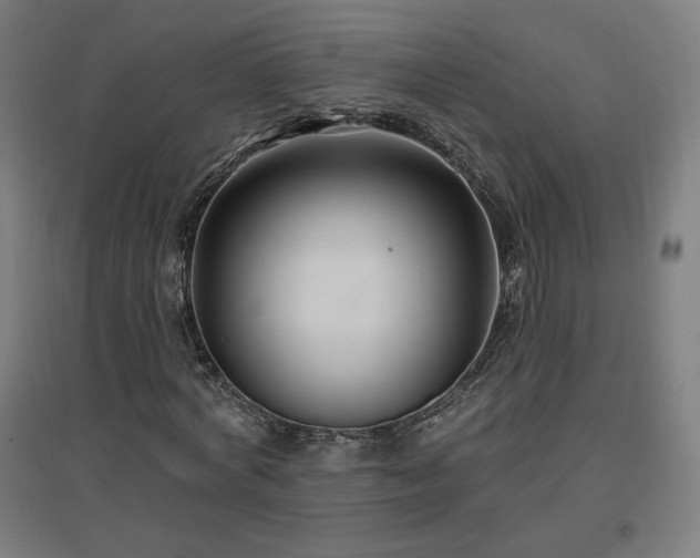 X0000096970772200802151308