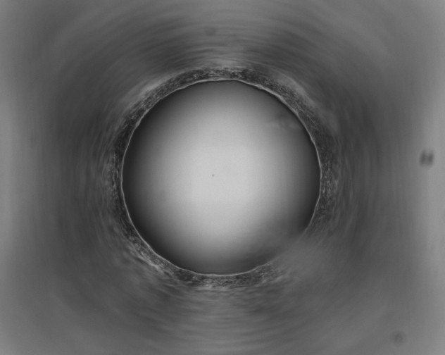 X0000096970773200802151308