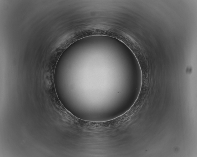 X0000096970774200802151308