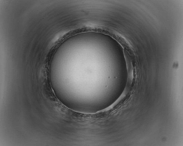 X0000096970776200802151308