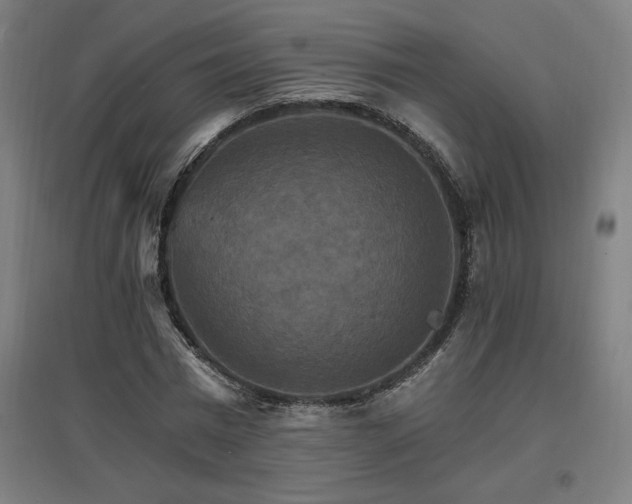 X0000096970777200802151308
