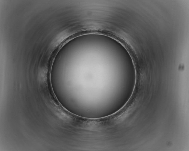 X0000096970778200802151307