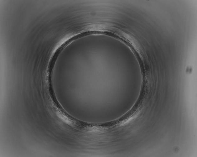 X0000096970779200802151307