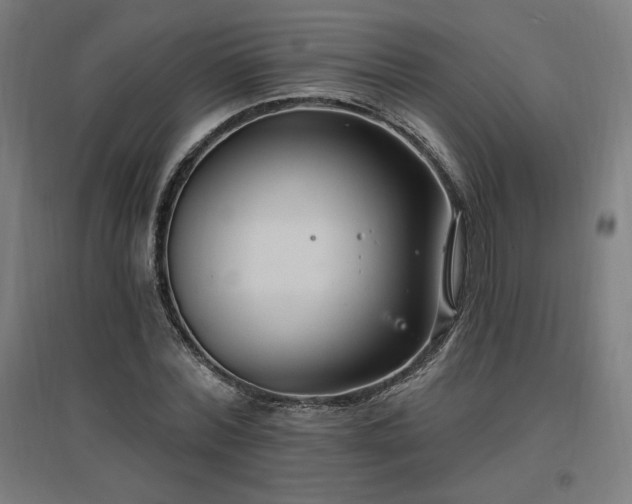 X0000096970780200802151307