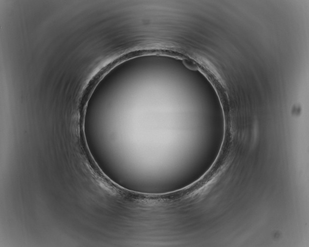 X0000096970781200802151307