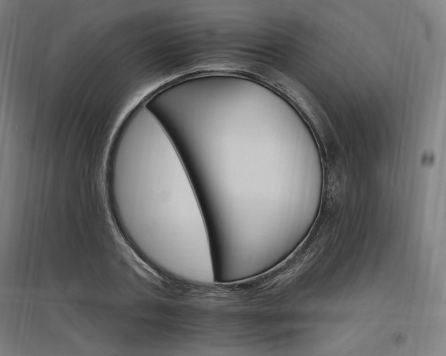 X0000096970787200802151307