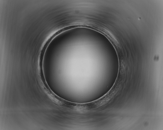 X0000096970788200802151307