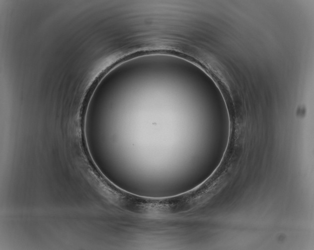 X0000096970789200802151307