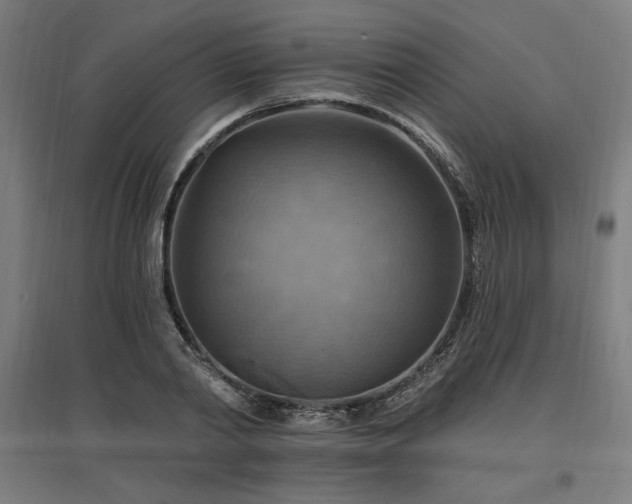 X0000096970790200802151307