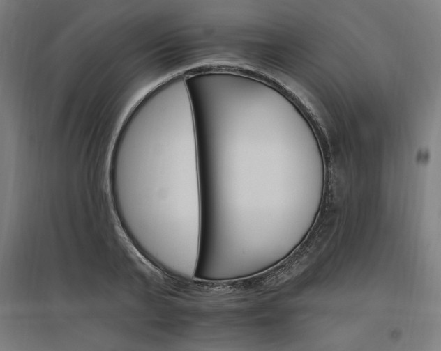 X0000096970791200802151307
