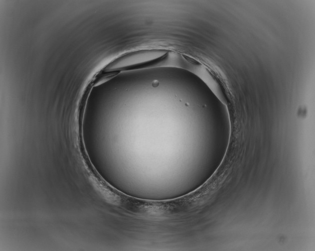 X0000096970792200802151307
