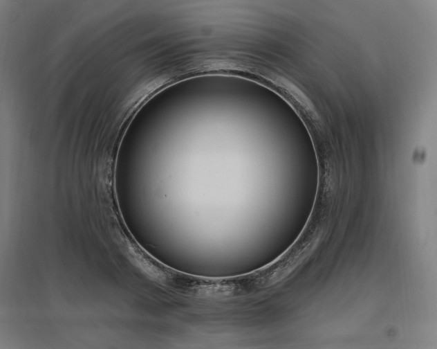X0000096970793200802151307