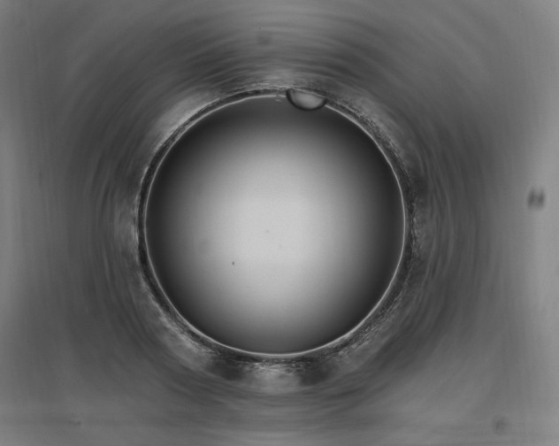 X0000096970794200802151307