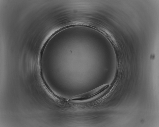 X0000096970796200802151307