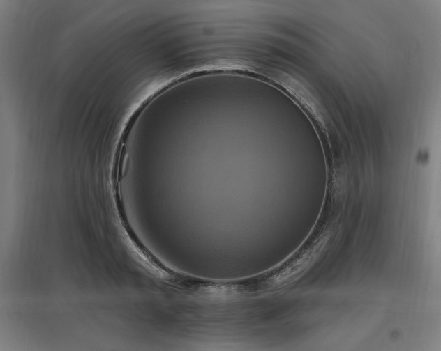 X0000096970797200802151307