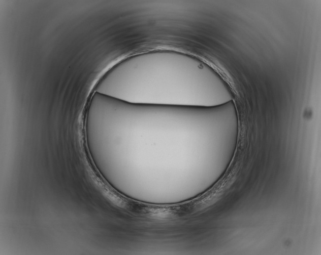 X0000096970798200802151307