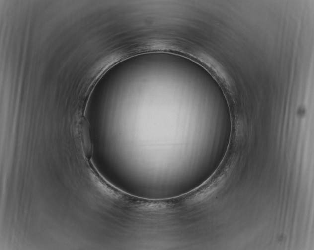 X0000096970801200802151307