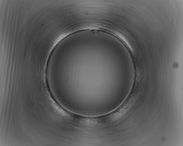 X0000096970802200802151307