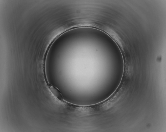 X0000096970805200802151307