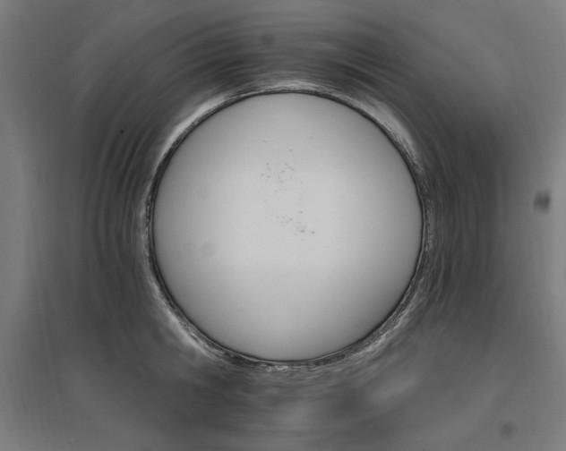 X0000096970806200802151307