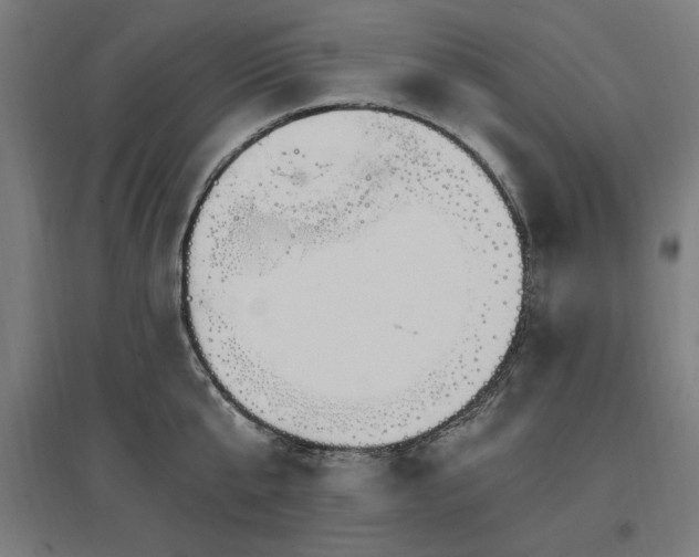 X0000096970807200802151307