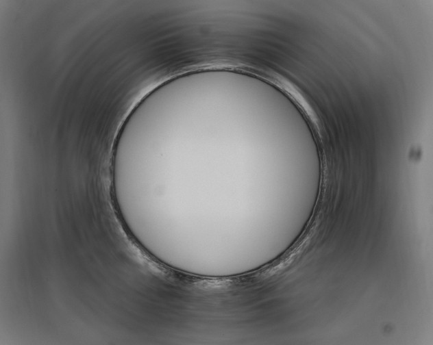 X0000096970810200802151307