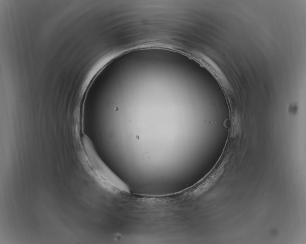 X0000096970812200802151307