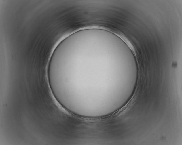 X0000096970813200802151307