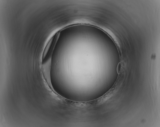 X0000096970815200802151307
