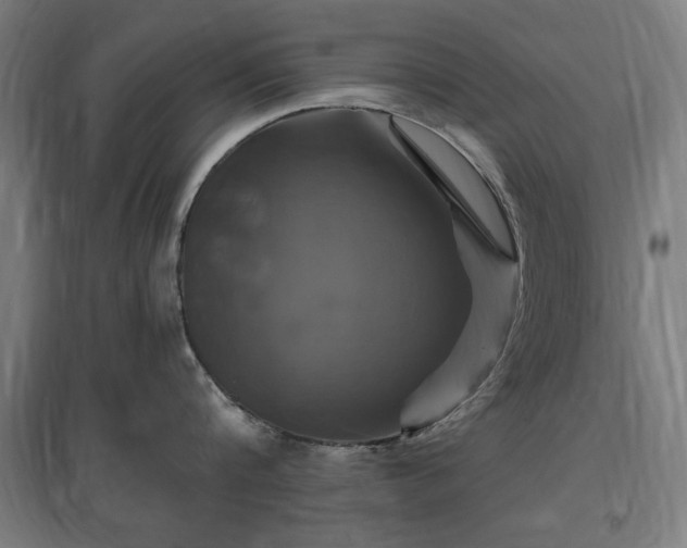 X0000096970816200802151307