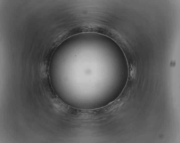 X0000096970819200802151306