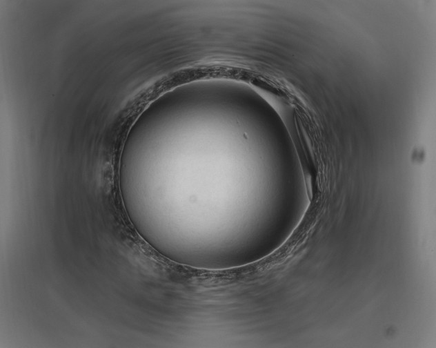 X0000096970821200802151306