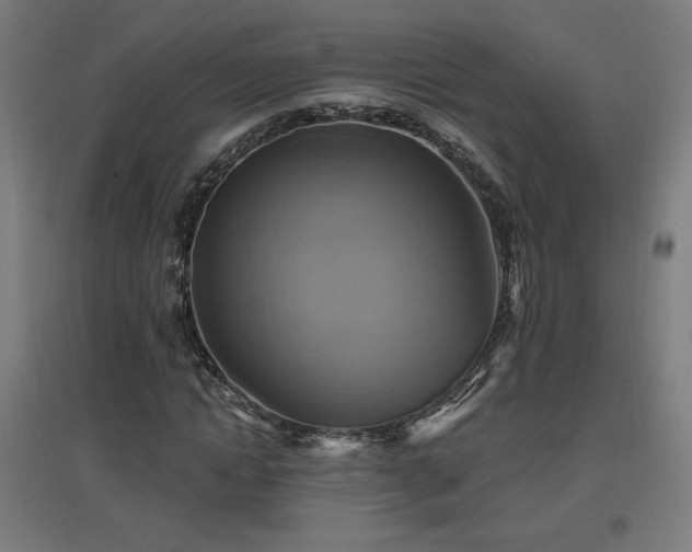 X0000096970822200802151306