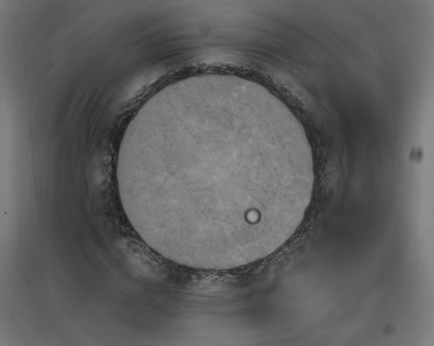 X0000096970824200802151306